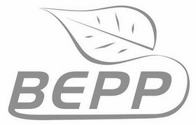 【BEPP】_17-橡胶制品_近似商标_竞品商标 -