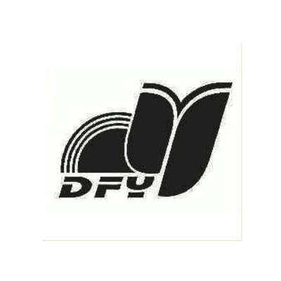 DFY,近似查询,信息查询
